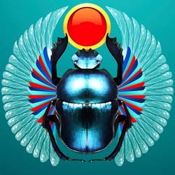 skarabaeus-thumb