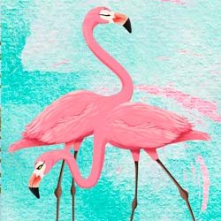 flamingo-thumb